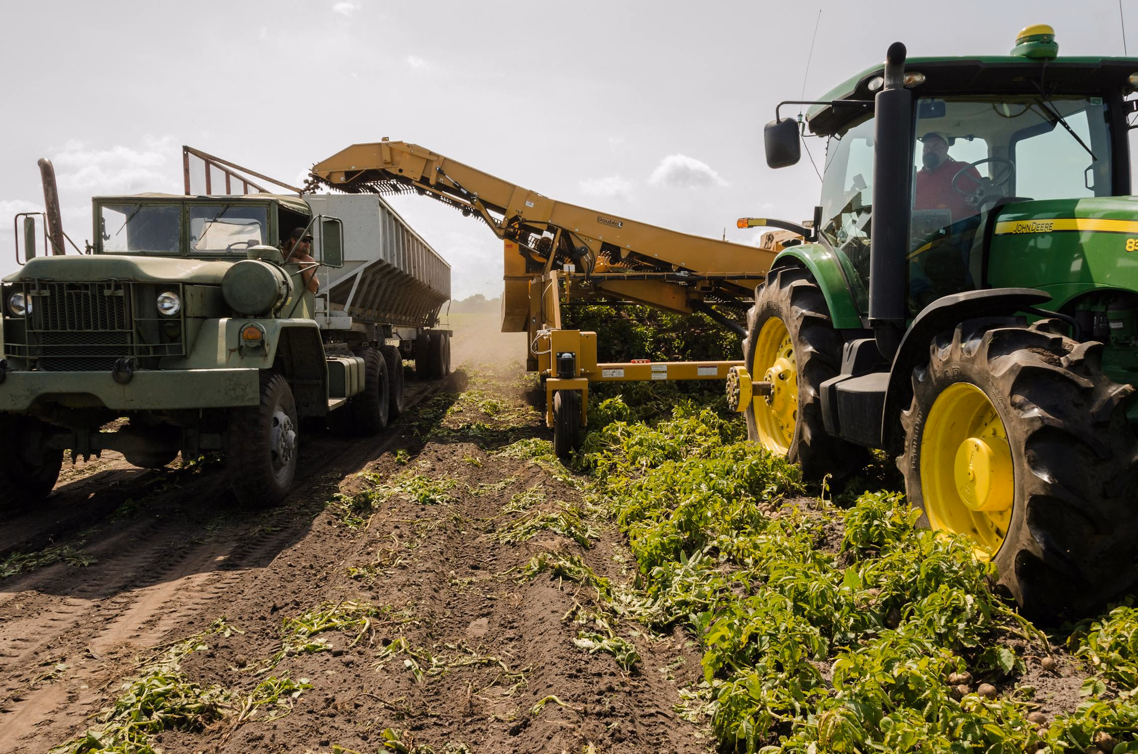 Les machines et outils sont un bon indicateur, car ils sont directement liés à la santé du marché agricole. récolte de pommes de terre