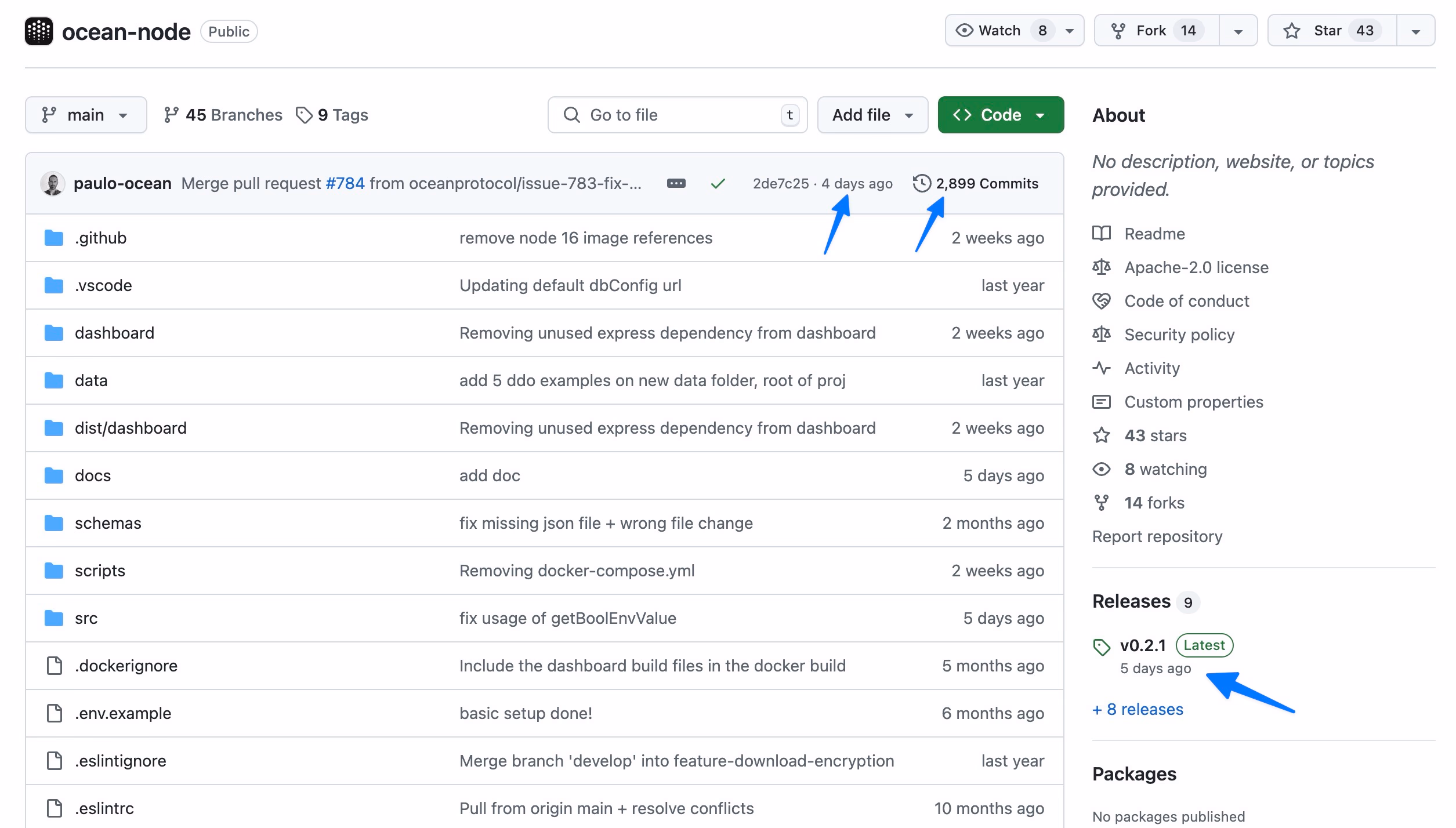 github ocean protocol activité
